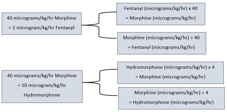 Neonatal Pain Management Opioid Conversion IV